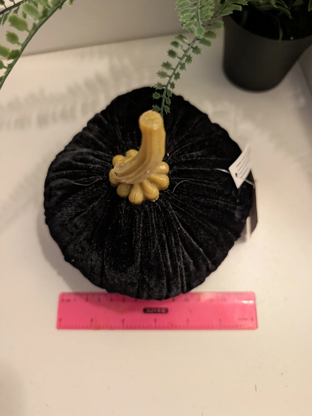 Black Velvet Pumpkin & Plush Black Cat Home Accent Duo